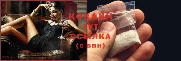 индика Балабаново