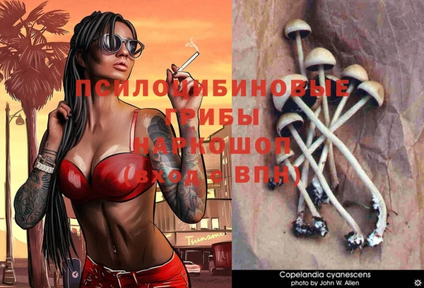 СК Тавда