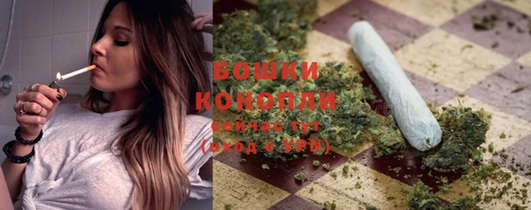 индика Балабаново