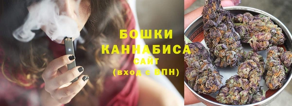 индика Балабаново