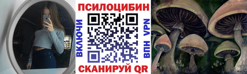 Псилоцибиновые грибы Psilocybe  Лангепас 