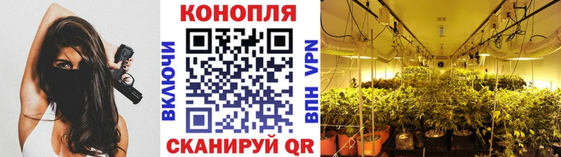 МАРИХУАНА ГИДРОПОН  Лангепас 